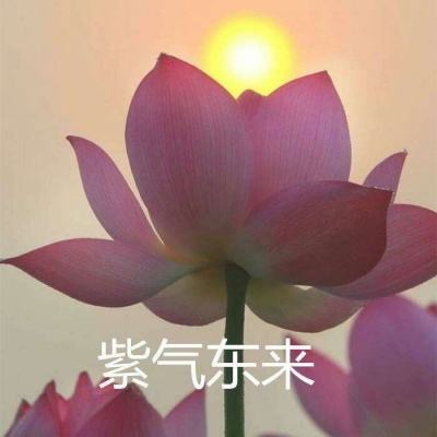 少女乐团派对内购破解版下载